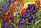 Poppies and Purple Irises